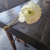 klaproos 60cm